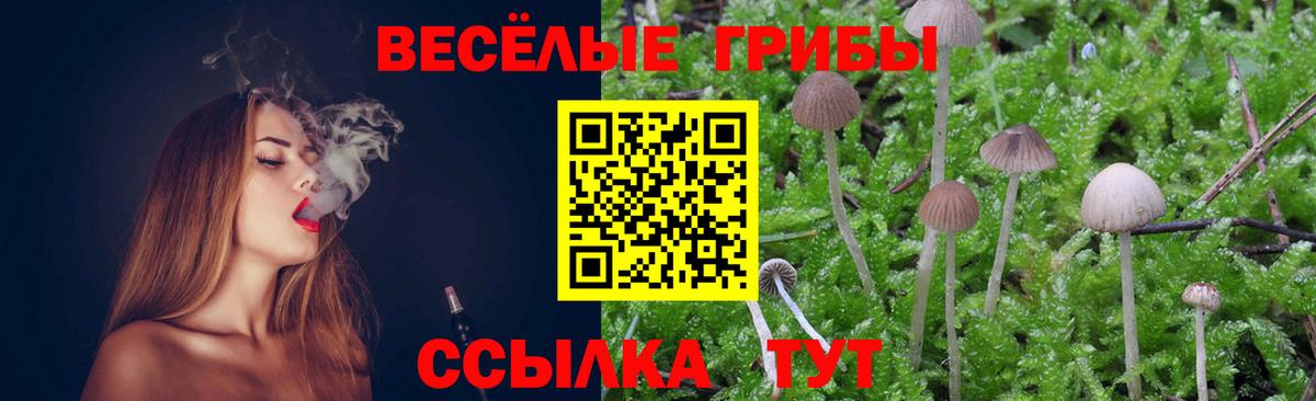 Мурманск  Галлюциногенные грибы мухоморы  Вход с VPN 