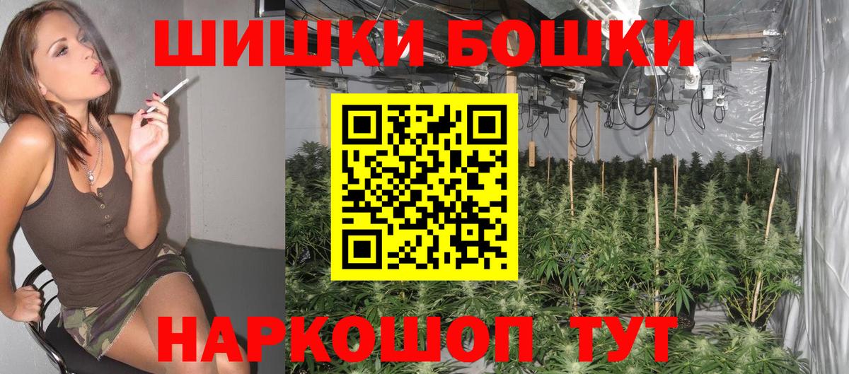 Бошки Шишки семена Мурманск